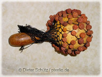 Schamanische Rassel