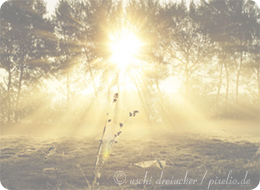 Vater Sonne